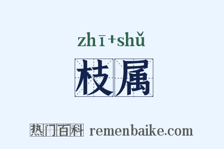 枝属是什么意思的图片